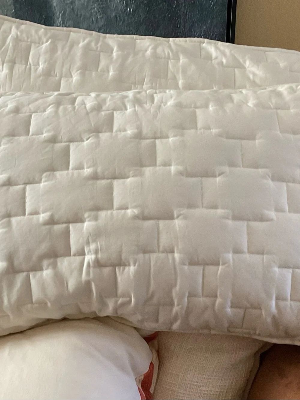 Crate & Barrel Palazzo Ivory Quilted King Set Of 2 Shams Only 20x26”